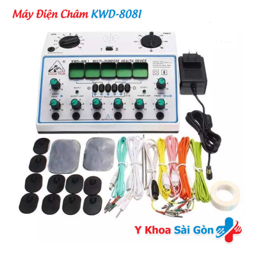 Máy châm cứu 6 cọc KWD-808I